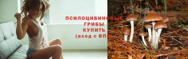 ПСИЛОЦИБИНОВЫЕ ГРИБЫ Алексеевка