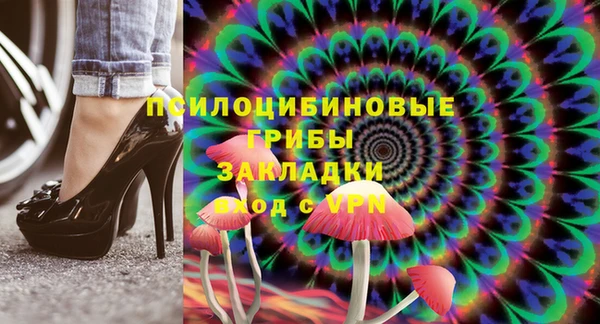 не бодяженный Арсеньев