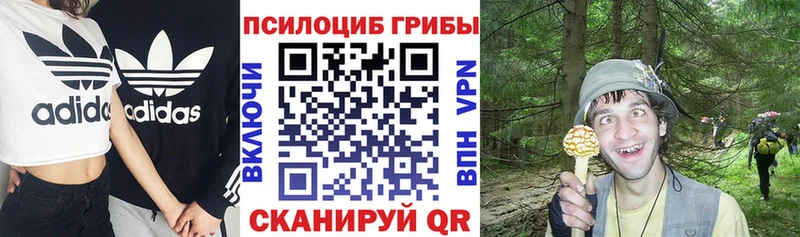 Галлюциногенные грибы MAGIC MUSHROOMS  Курск 