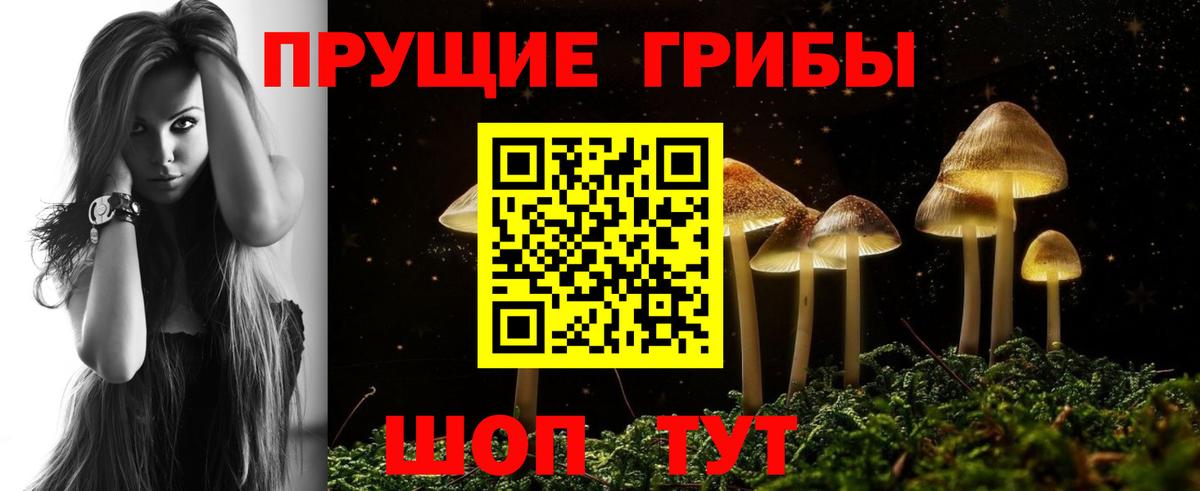 Псилоцибиновые грибы мицелий  Вход с VPN  Курск 