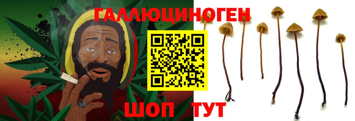 Галлюциногенные грибы MAGIC MUSHROOMS Курск